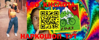 прущие крисы Донской